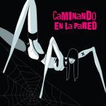 Imagen Disco